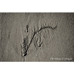 dailyPhoto2